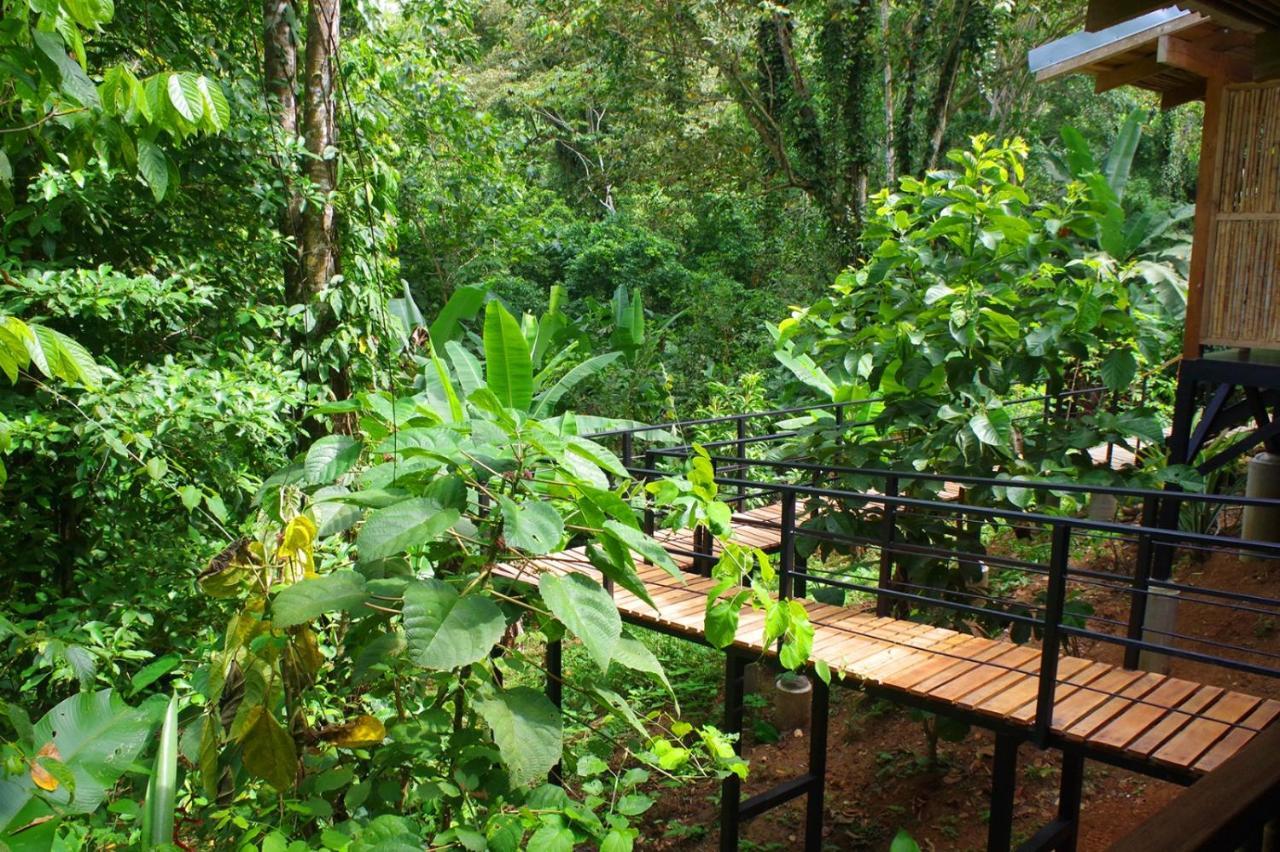 Villa La Shamana - Ecological Concept In Jungle Cahuita Exterior foto