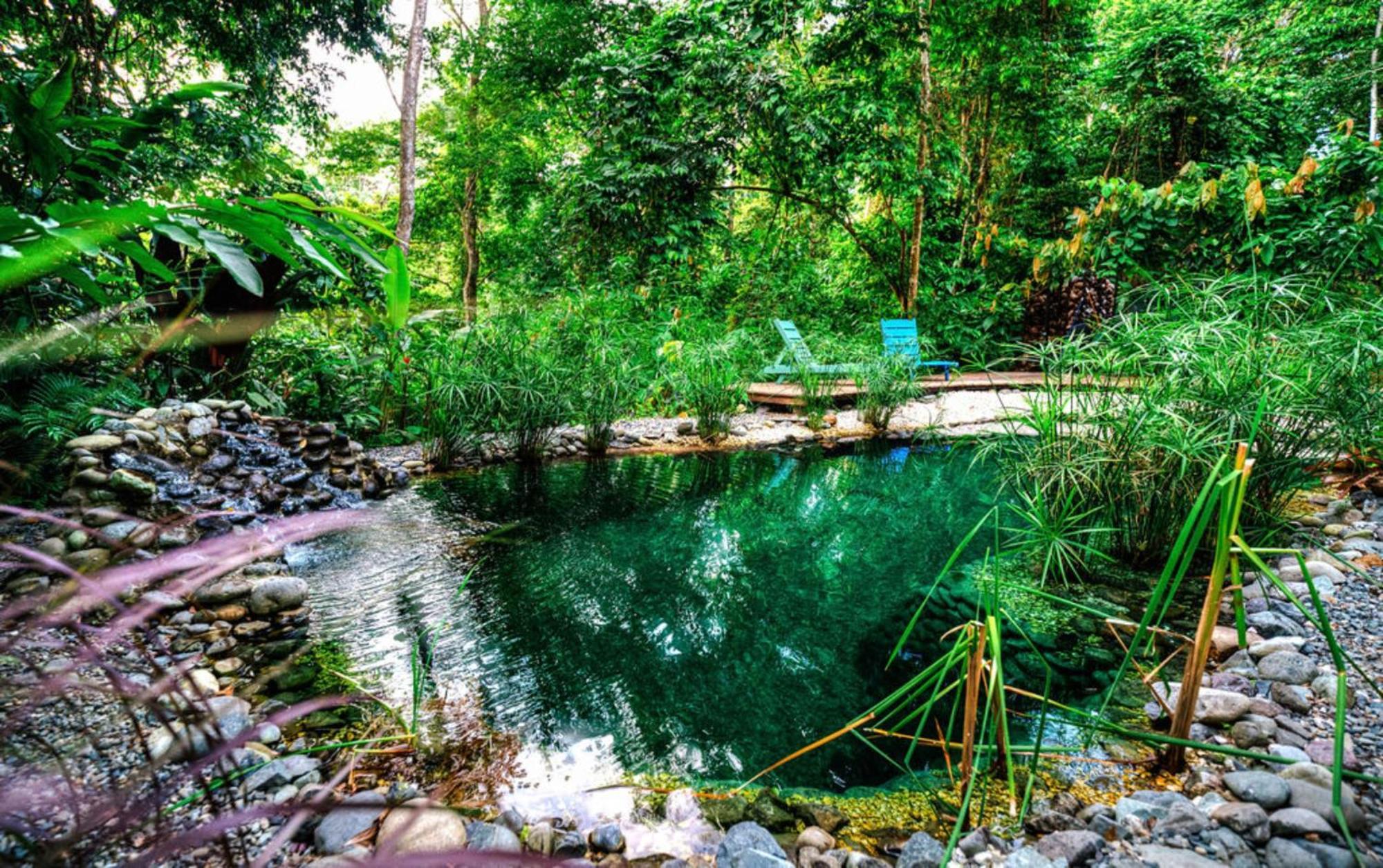 Villa La Shamana - Ecological Concept In Jungle Cahuita Exterior foto