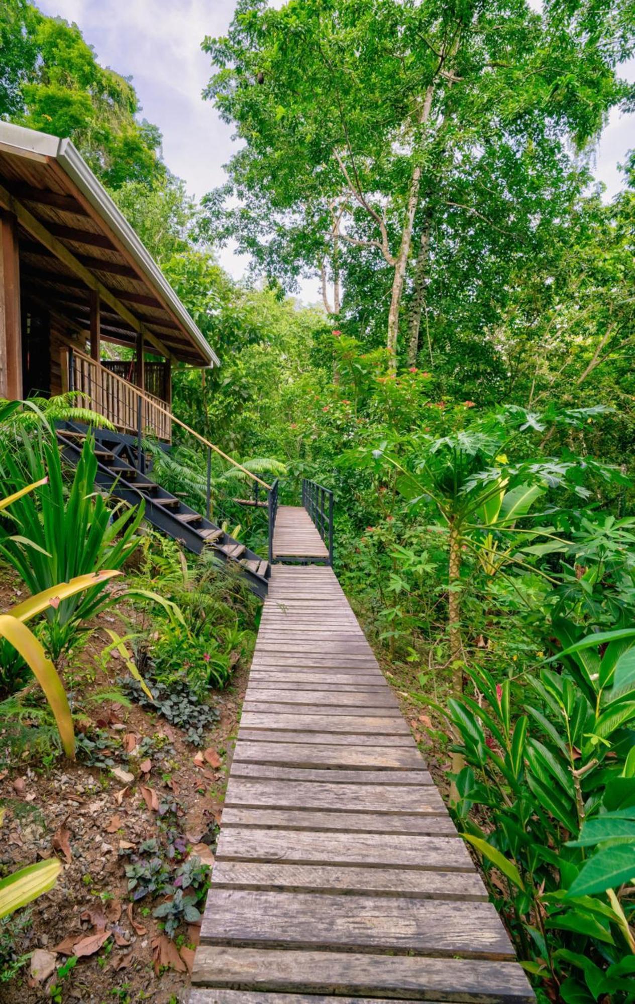 Villa La Shamana - Ecological Concept In Jungle Cahuita Exterior foto