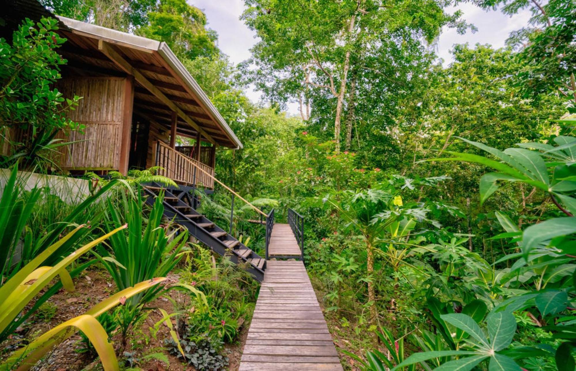 Villa La Shamana - Ecological Concept In Jungle Cahuita Zimmer foto