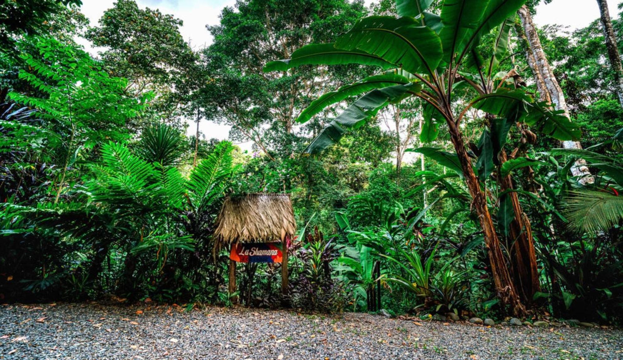 Villa La Shamana - Ecological Concept In Jungle Cahuita Exterior foto