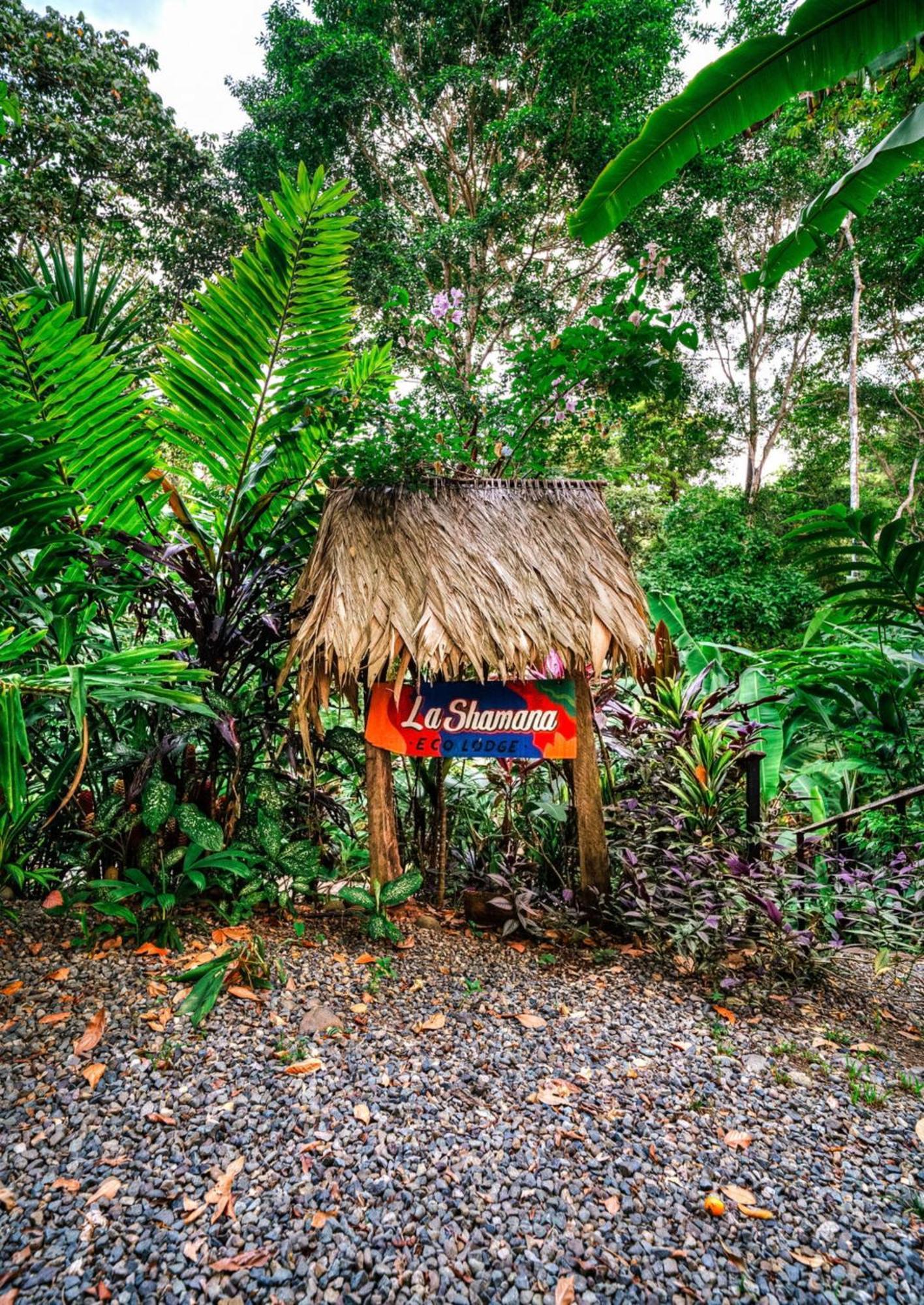 Villa La Shamana - Ecological Concept In Jungle Cahuita Exterior foto