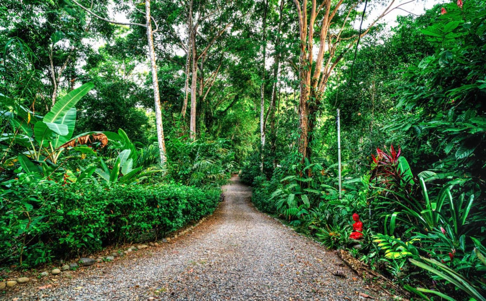 Villa La Shamana - Ecological Concept In Jungle Cahuita Exterior foto