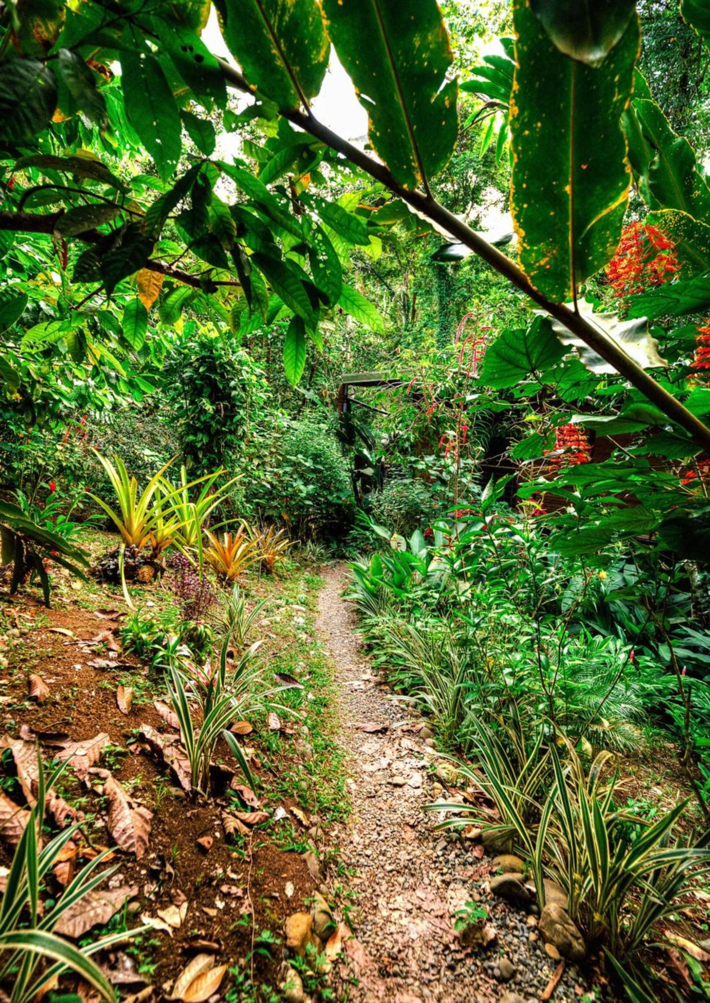 Villa La Shamana - Ecological Concept In Jungle Cahuita Exterior foto