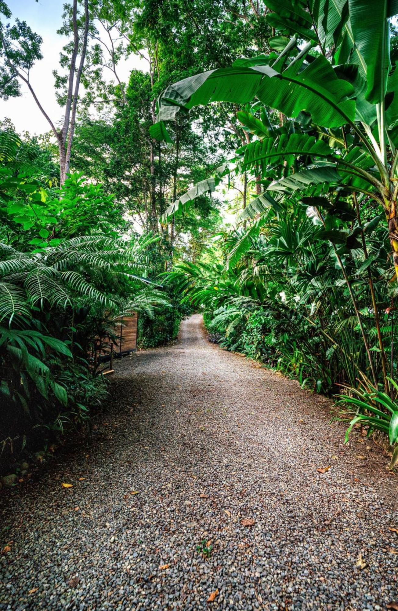 Villa La Shamana - Ecological Concept In Jungle Cahuita Exterior foto