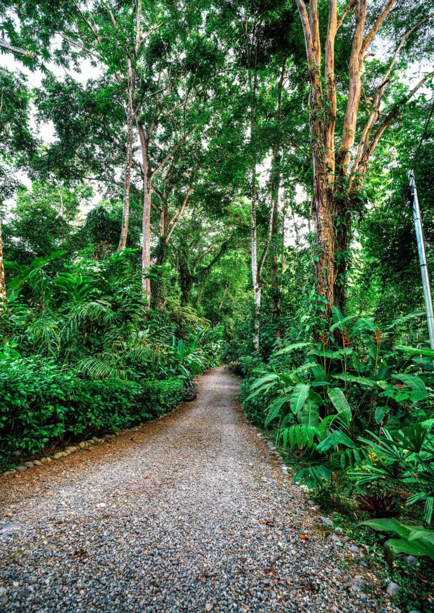 Villa La Shamana - Ecological Concept In Jungle Cahuita Exterior foto